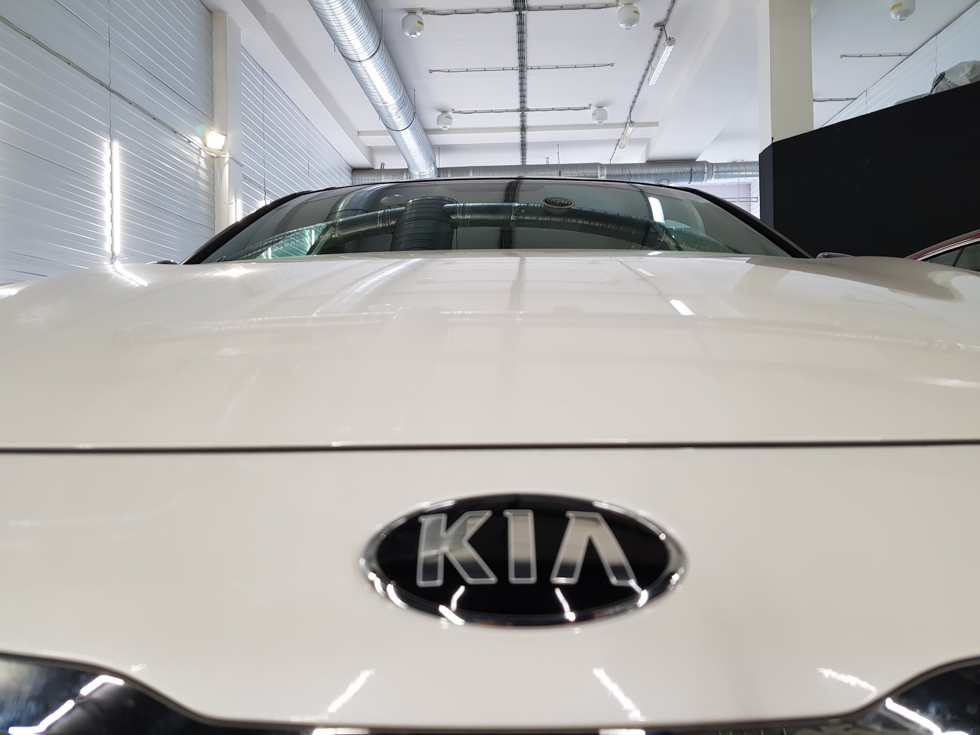 Мари в процессе — KIA Optima (4G), 2,4 л, 2018 года | покупка машины |  DRIVE2