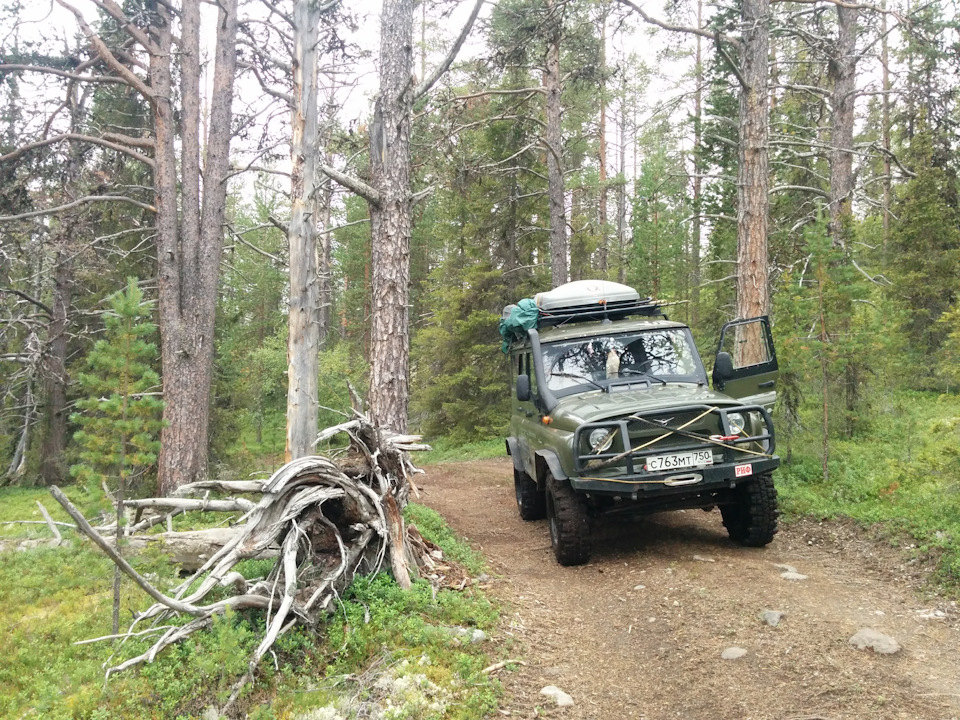 Фото в бортжурнале УАЗ 315195 Hunter