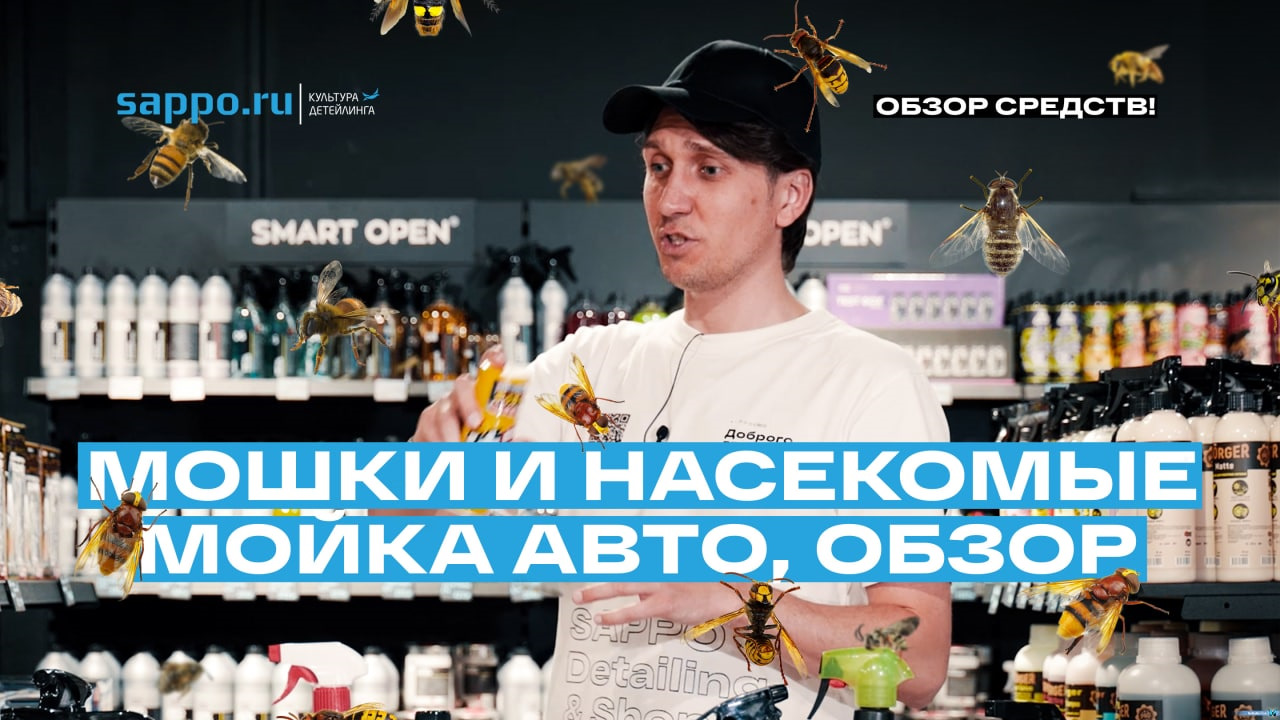 🦟 ЧЕМ ОТМЫТЬ МОШЕК С МАШИНЫ ? — SAPPO.RU на DRIVE2