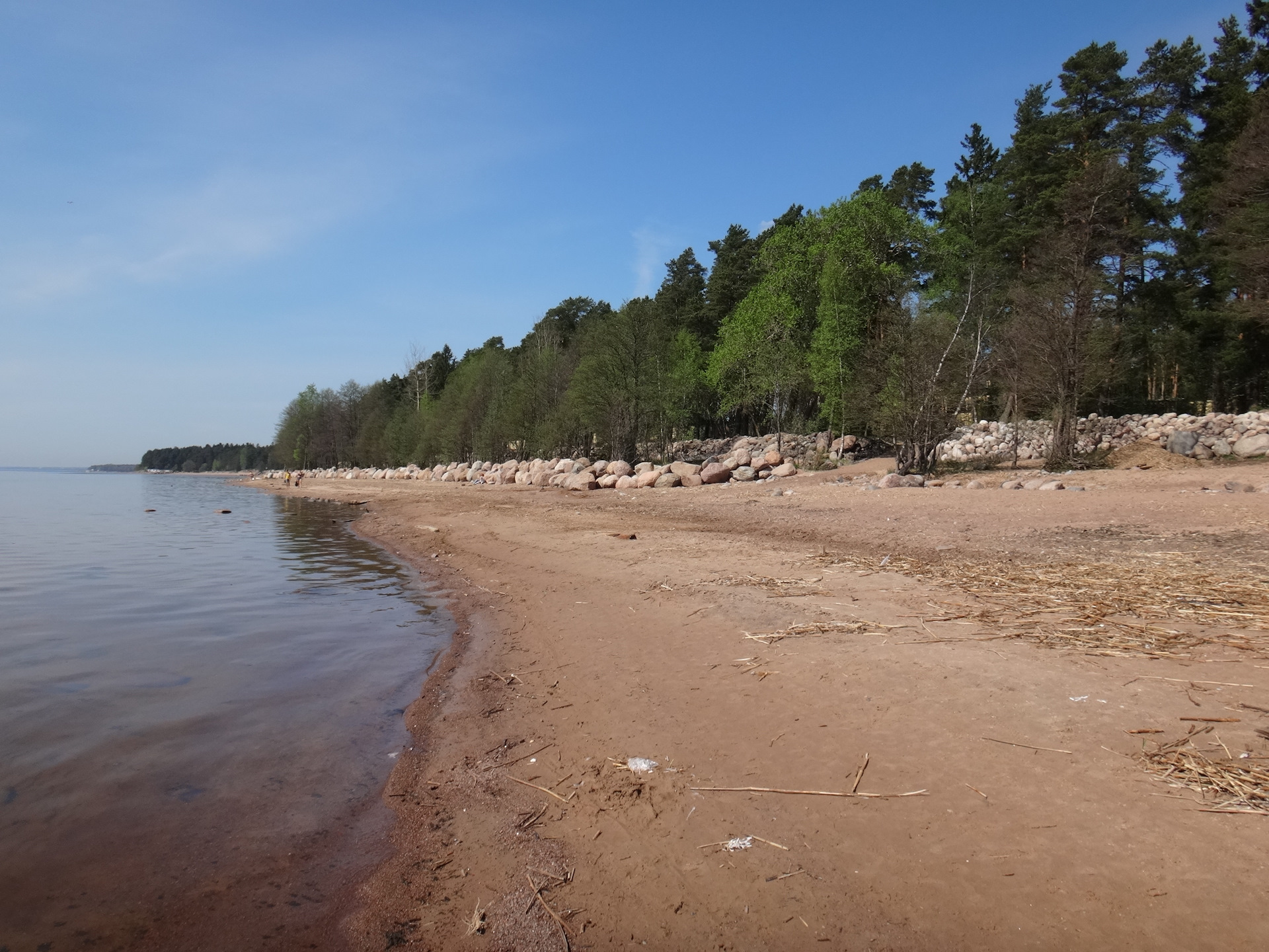 пляж в разливе