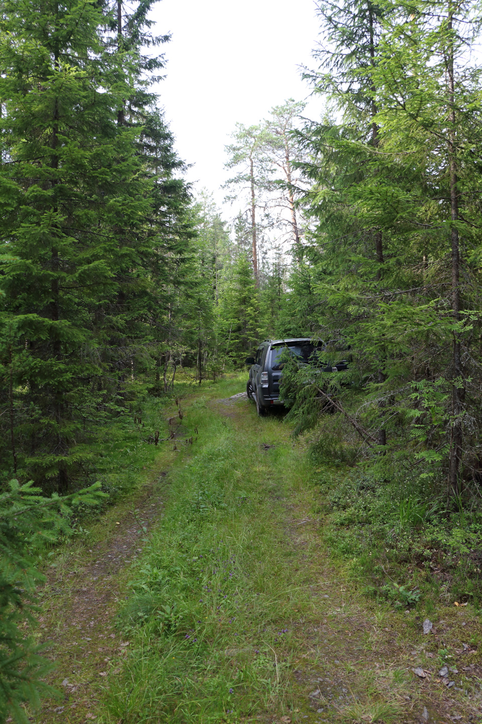 Фото в бортжурнале Mitsubishi Pajero (4G)