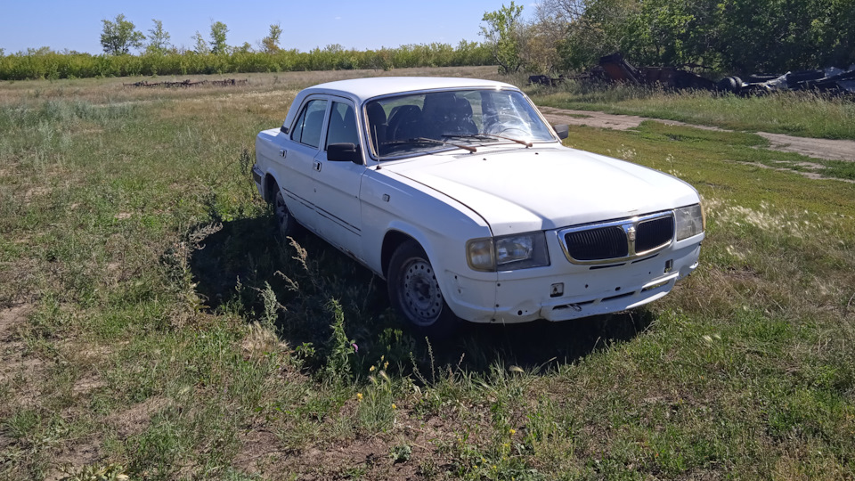 ГАЗ 31 first love