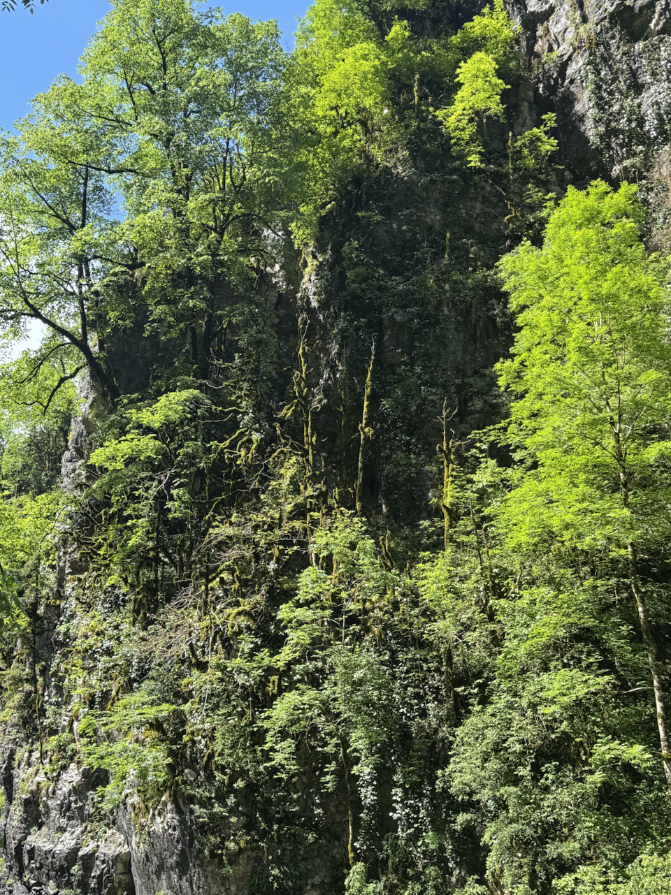 Фото в бортжурнале Skoda Octavia A7 Mk3