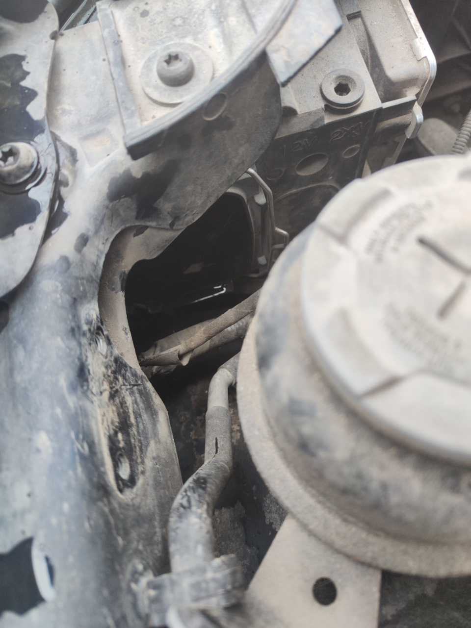 Замена ксеноновой лампы — Audi Q5 (1G), 2 л, 2010 года | поломка | DRIVE2