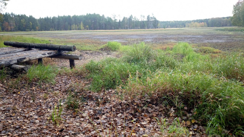 Фото в бортжурнале УАЗ Patriot