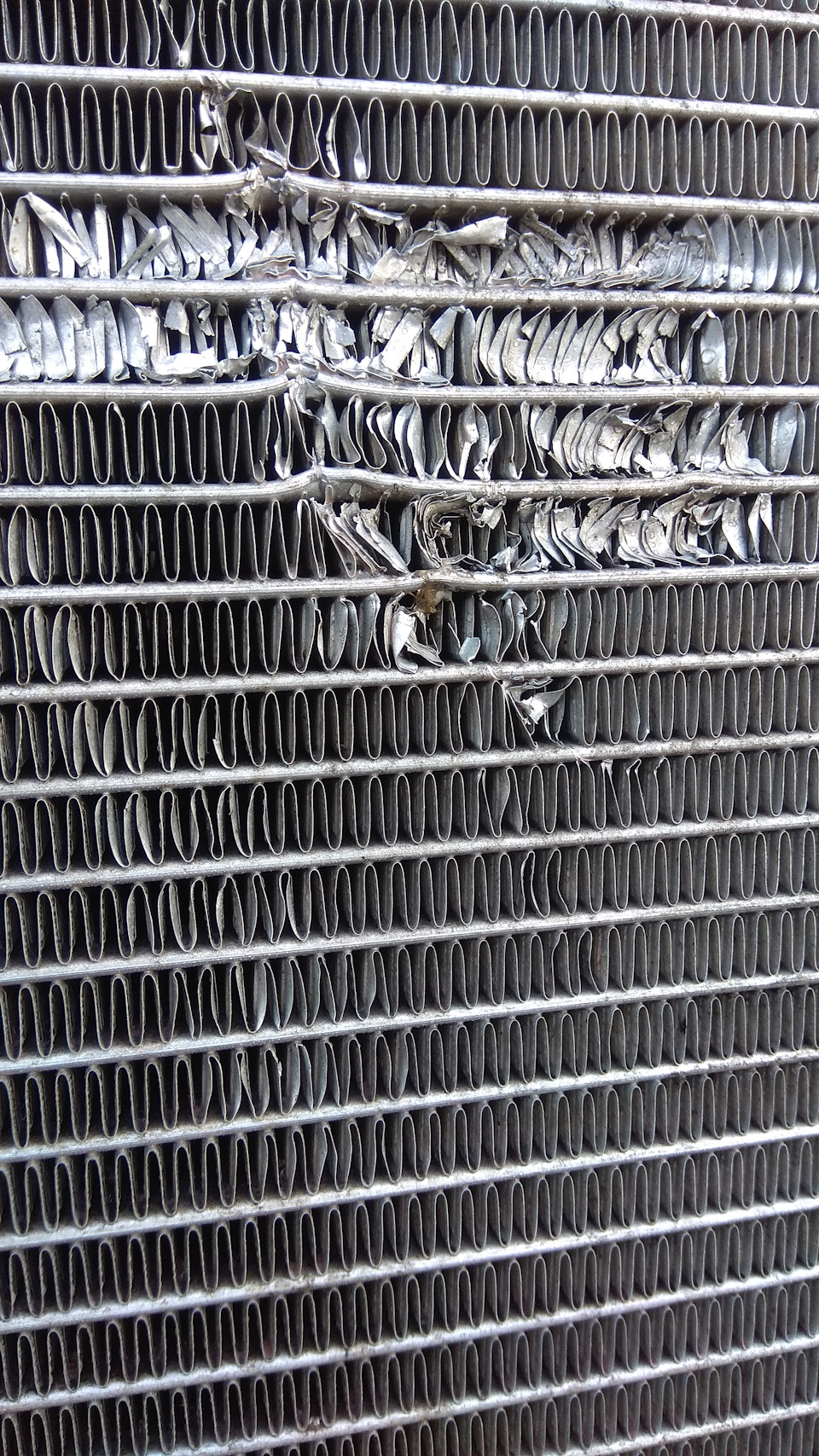 Покупка и установка Жабо — LADA Ларгус, 1,6 л., 2018 года | аксессуары ...