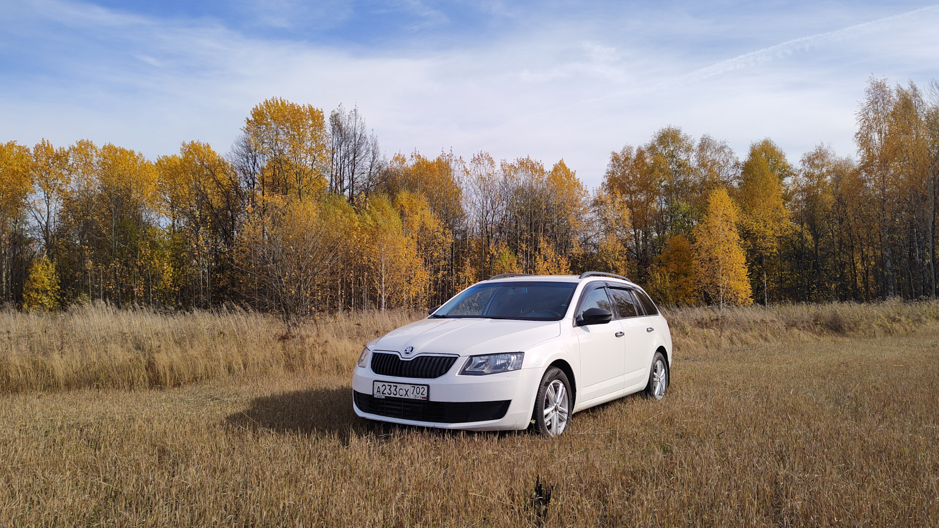 Skoda Octavia A7 Mk3 1.6 бензиновый 2016 | Универсальный Универсал на DRIVE2