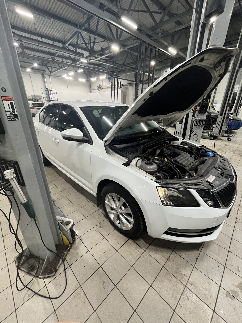 ТО. Победа стука в подвеске. Колодки и тормозные щитки. — Skoda Octavia ...
