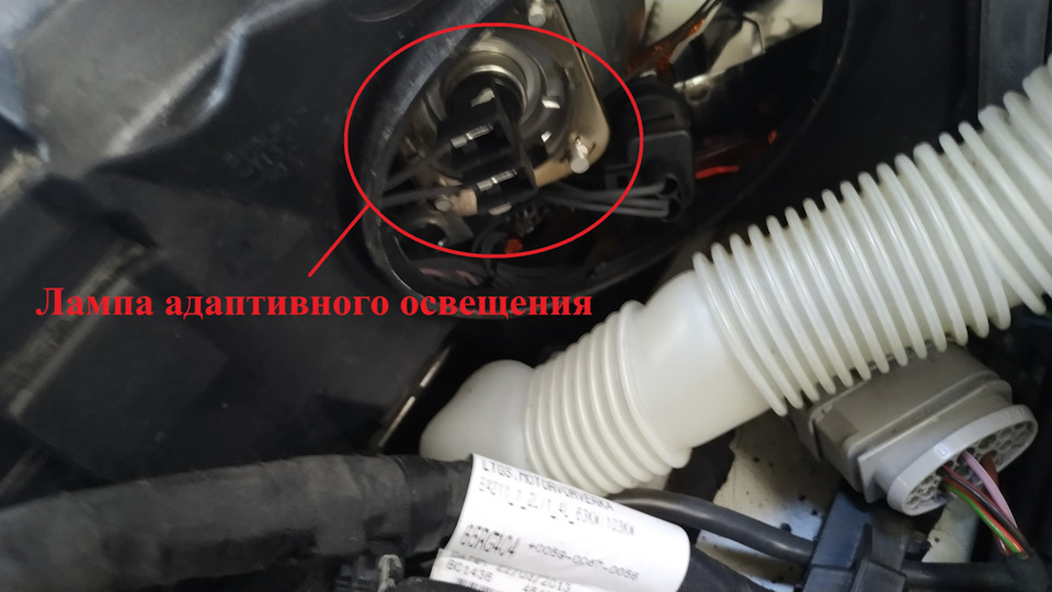 Фото в бортжурнале Volkswagen Golf Mk7