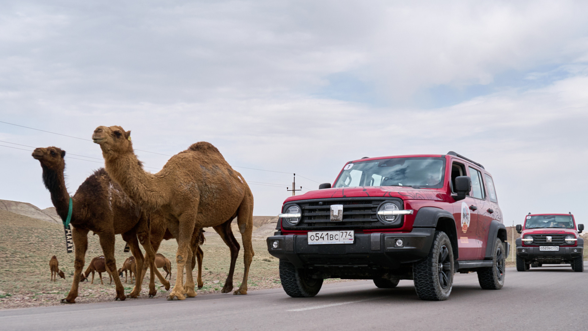 Танк 300 трансмиссия. Tank 300 great wall. Tank 300 в россии. Хавал wey tank 300. Двигатель бату для танка алтай.