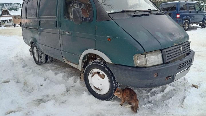 Вакуум коректор — ГАЗ Газель, 2,9 л, 2002 года | наблюдение | DRIVE2