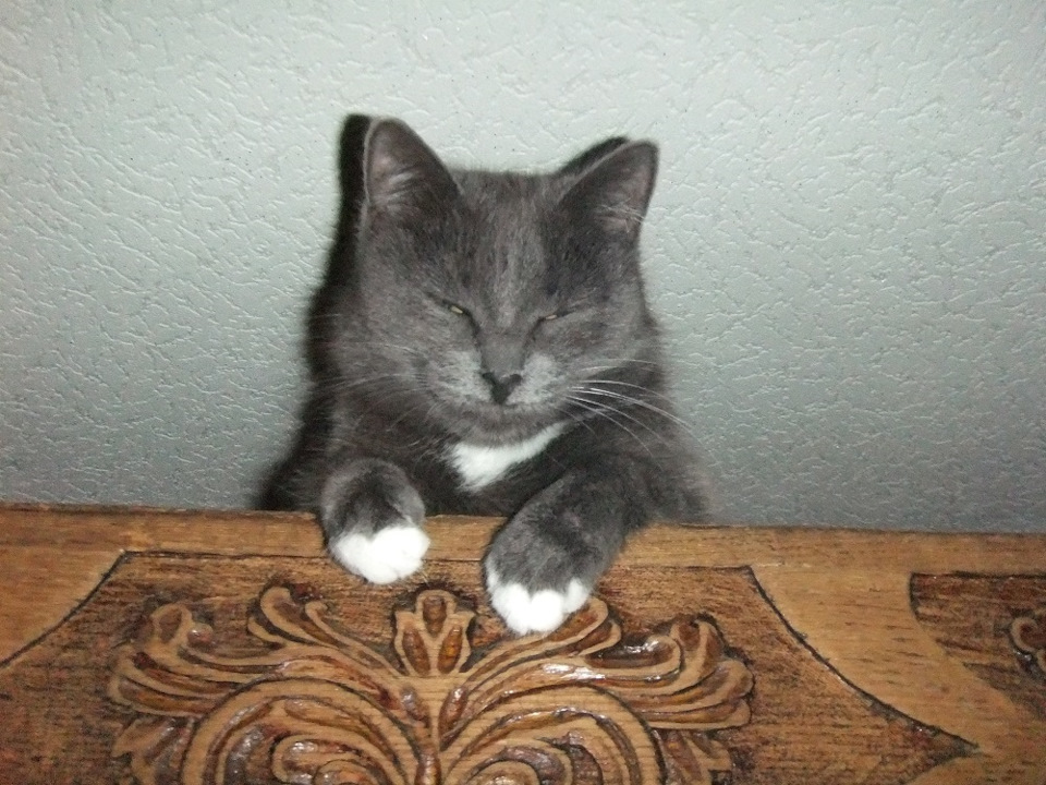 Плюсы и минусы — Skoda Rapid (1G), 1,6 л, 2019 года | наблюдение | DRIVE2