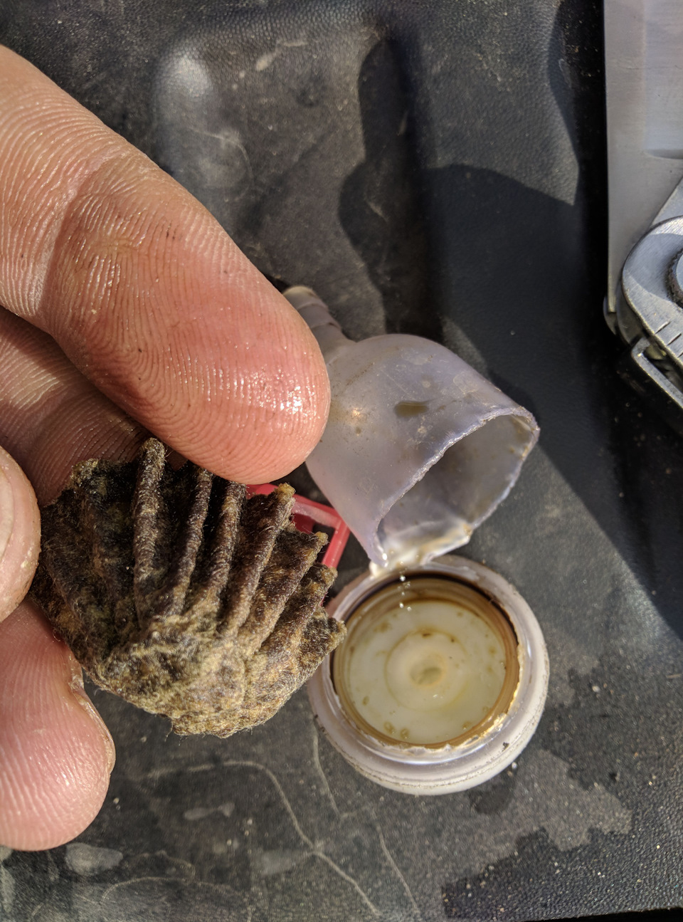 Фото в бортжурнале Lada Vesta SW Cross (1G)