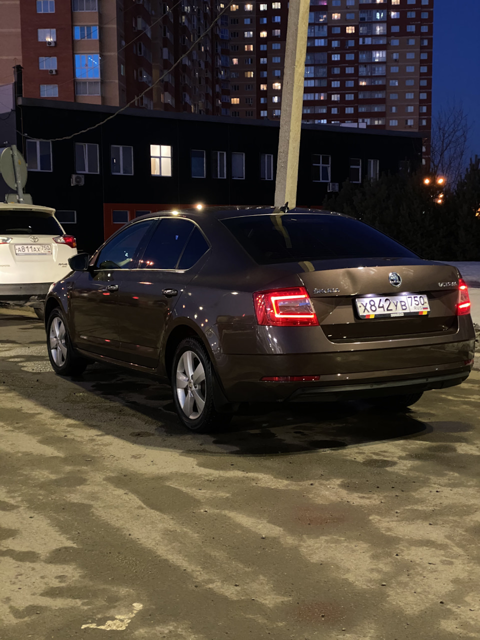 Вступительное слово, оно же отзыв и первые впечатления — Skoda Octavia A7  Mk3, 1,6 л, 2019 года | наблюдение | DRIVE2