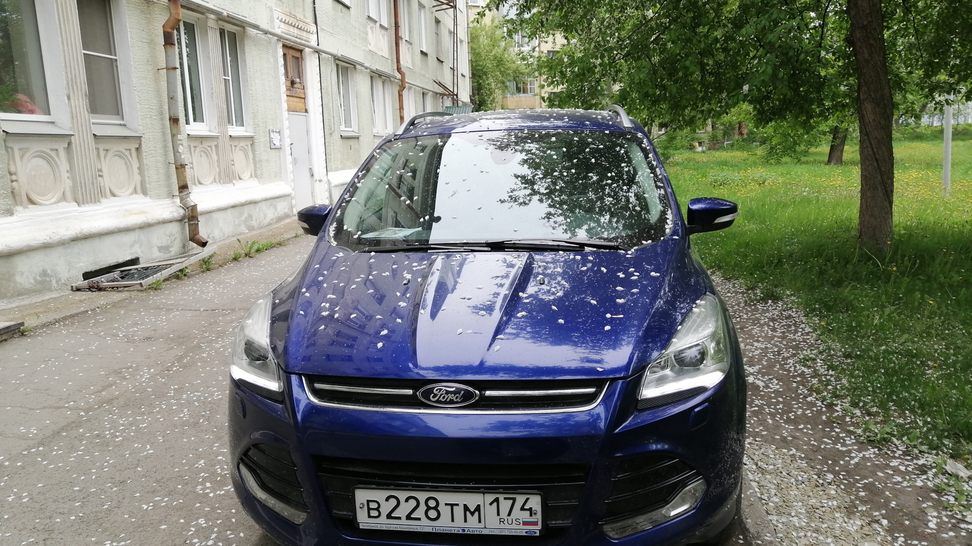 Ford Kuga (2G) 1.6 бензиновый 2014 | на DRIVE2