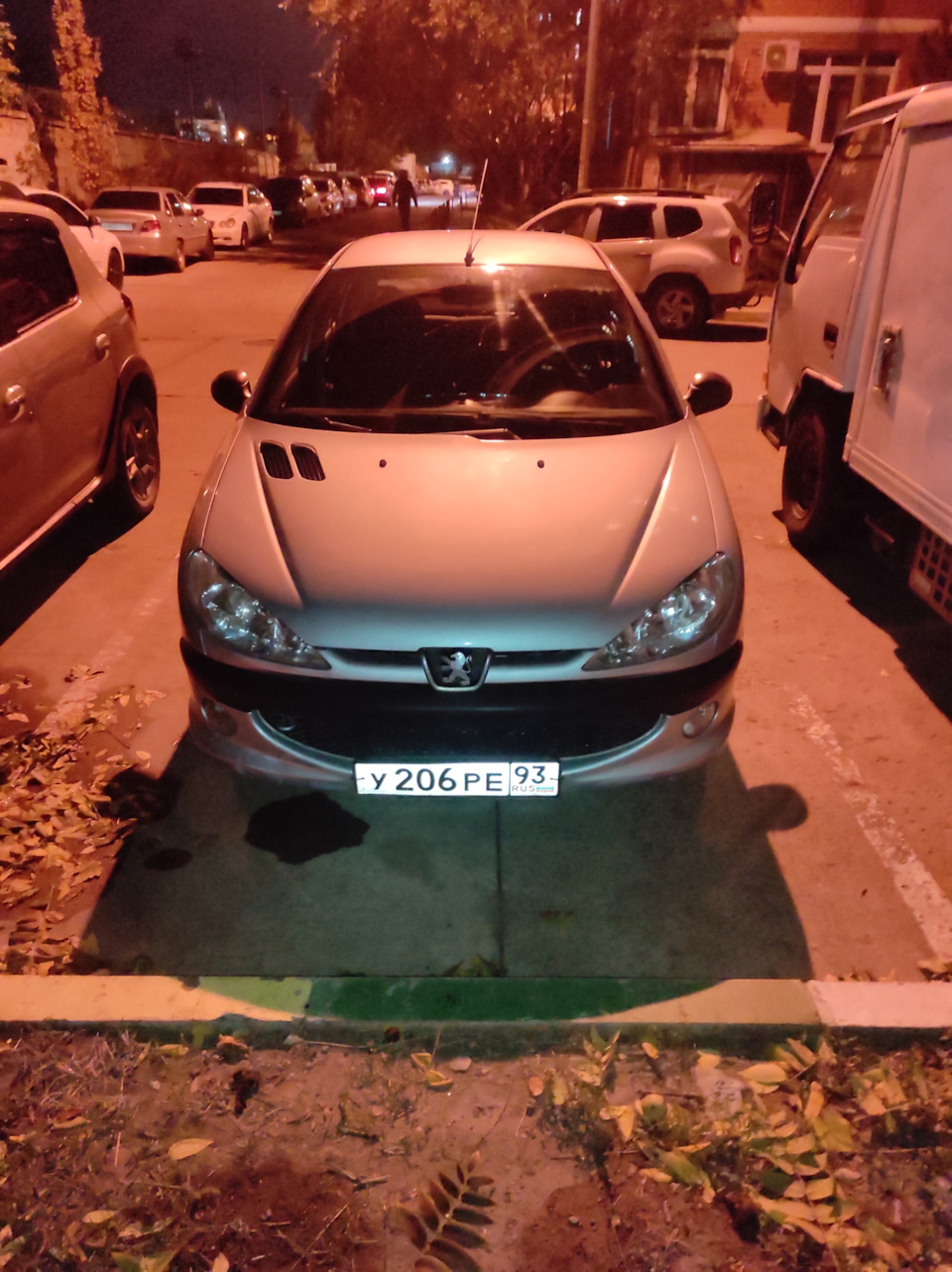 Новый пыжик — Peugeot 206, 1,4 л, 2009 года | покупка машины | DRIVE2