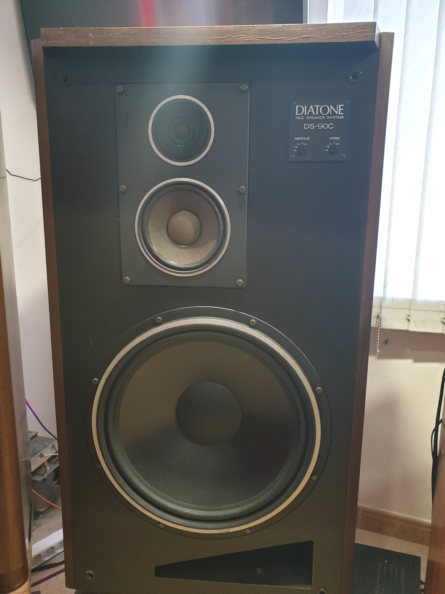 Diatone DS-90C hiend monster speakers