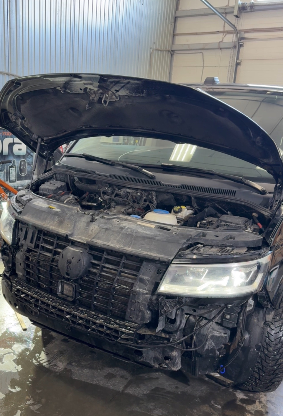 Фото в бортжурнале Volkswagen Caravelle (T6.1)