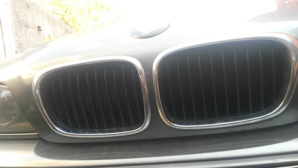 Сетка в бампер и ноздри — DRIVE2