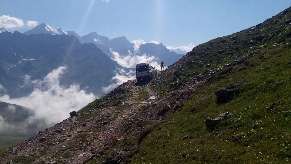 Volkswagen Amarok Белый Степной Волк