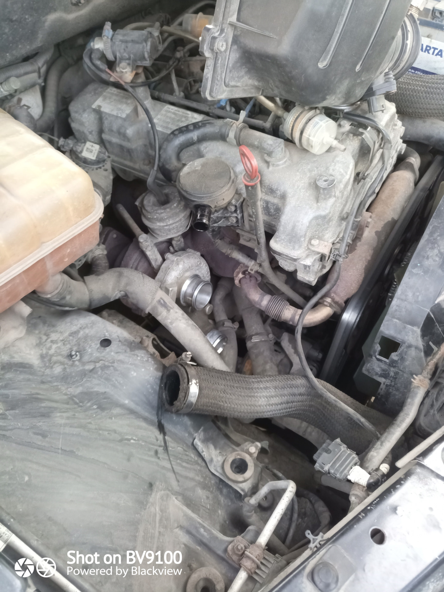 Ай ай ай убили негра. — SsangYong Actyon Sports (1G), 2 л, 2008 года ...
