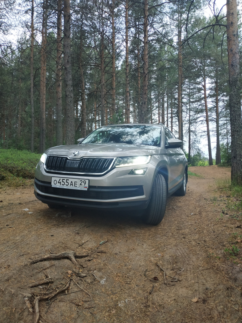 Отпуск. Поездка на Юг . Часть 1-я. — Skoda Kodiaq, 1,4 л, 2020 года |  путешествие | DRIVE2