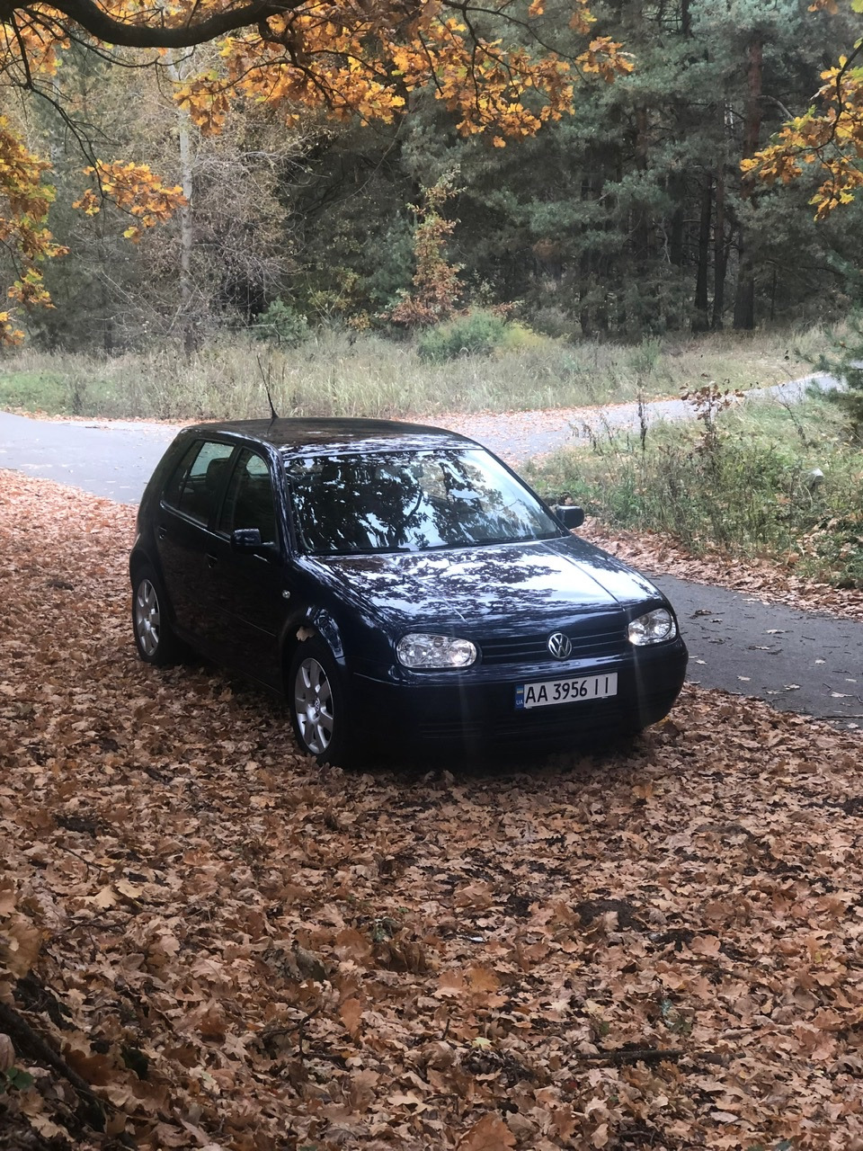 Муки выбора и покупка GTI с аукциона США — Volkswagen Golf Mk5 GTI, 2 л,  2008 года | покупка машины | DRIVE2