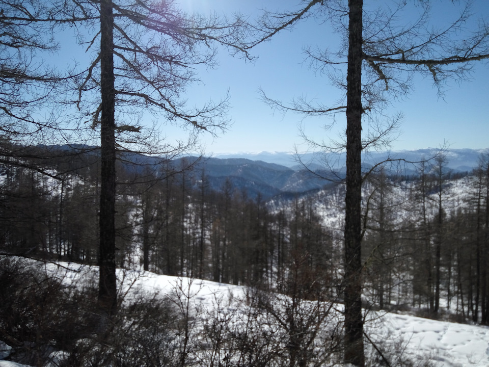 Фото в бортжурнале УАЗ Patriot