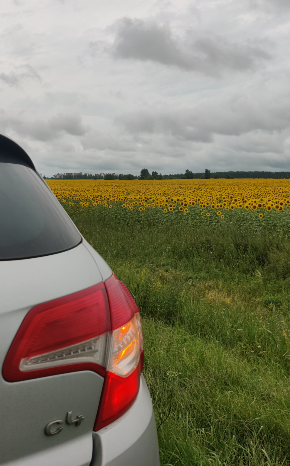 Поездка в Рязань, новые шины и клад — Citroen C4 (2G), 1,6 л., 2012 ...