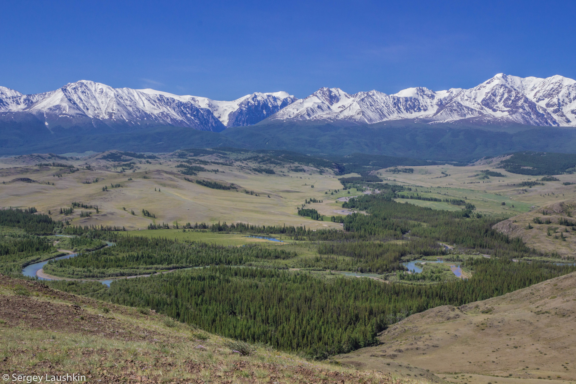 Монгольский алтай фото