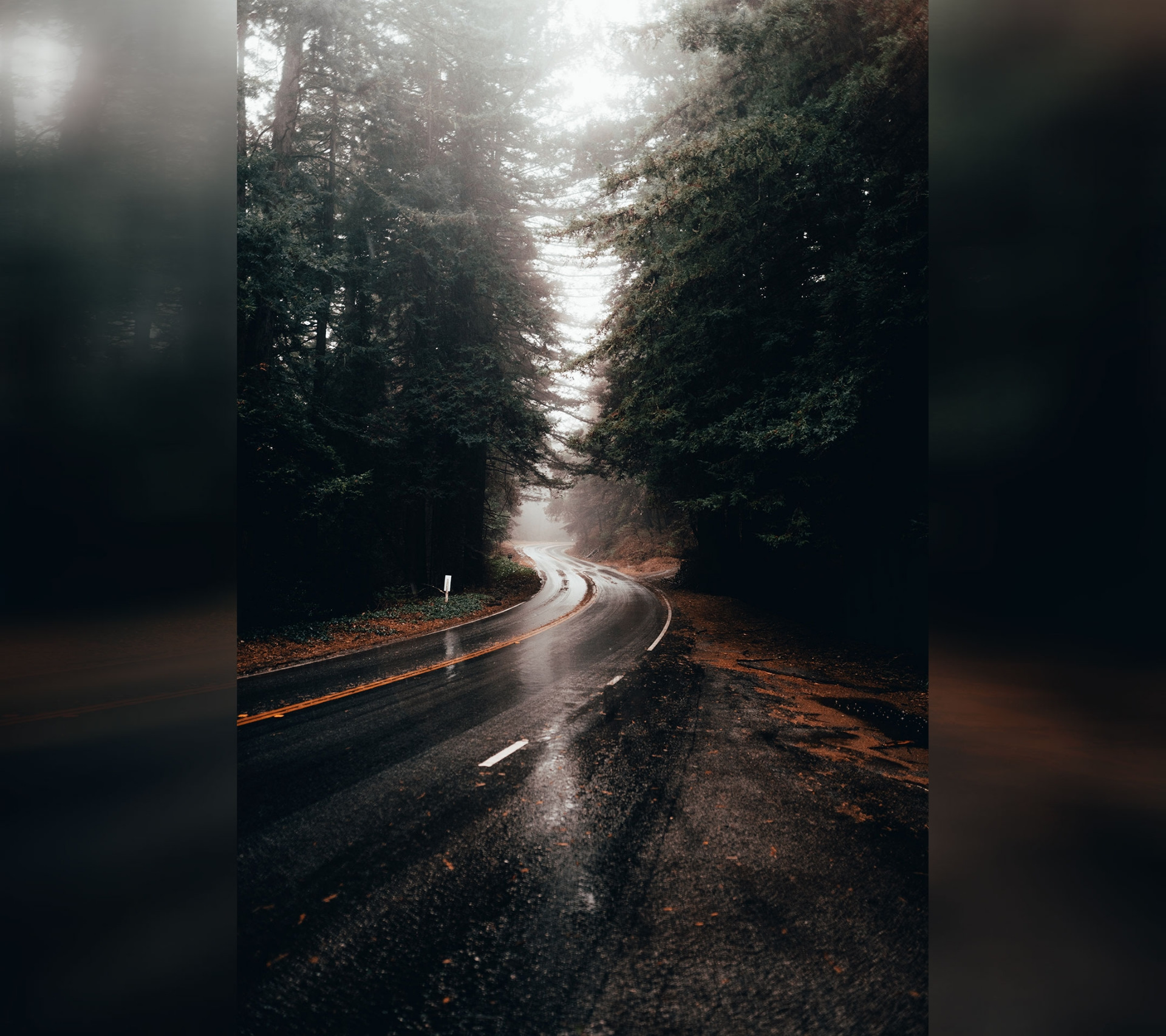 Скачать обои city, road, trees, rainy day, раздел разное в разрешении 2048x2048