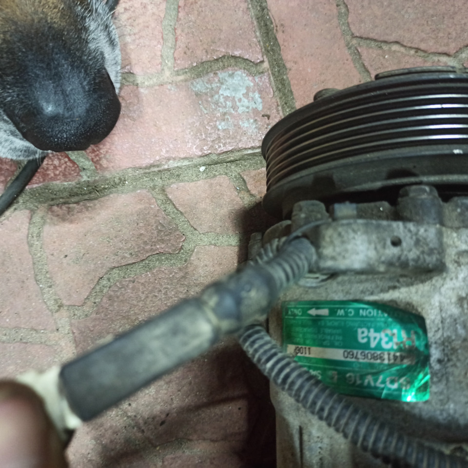 Фото в бортжурнале Peugeot 406 Break