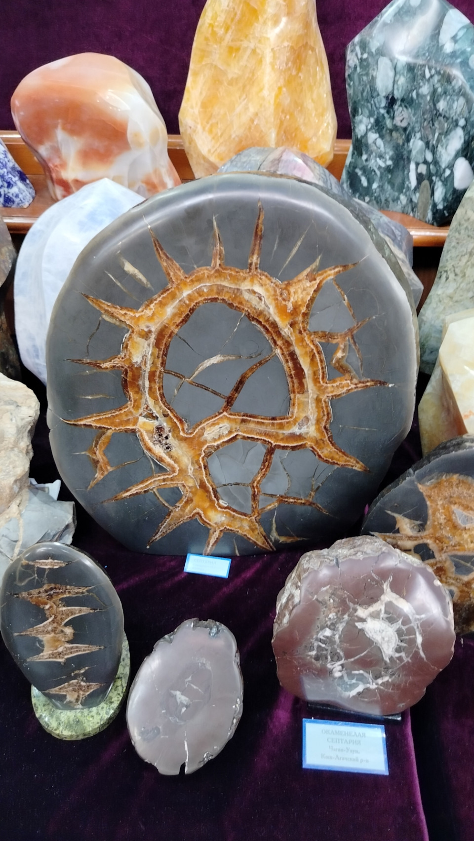 Окаменелое дерево — Mitsubishi Pajero (3G)