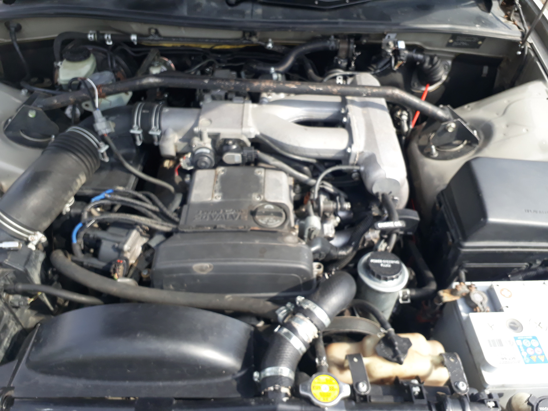 Без d4. Cinema 4d логотип. Без d4. Текстовой логотип. Без d4.