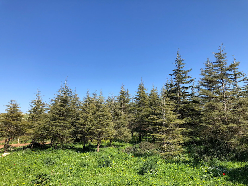 Фото в бортжурнале Suzuki Jimny (1G)