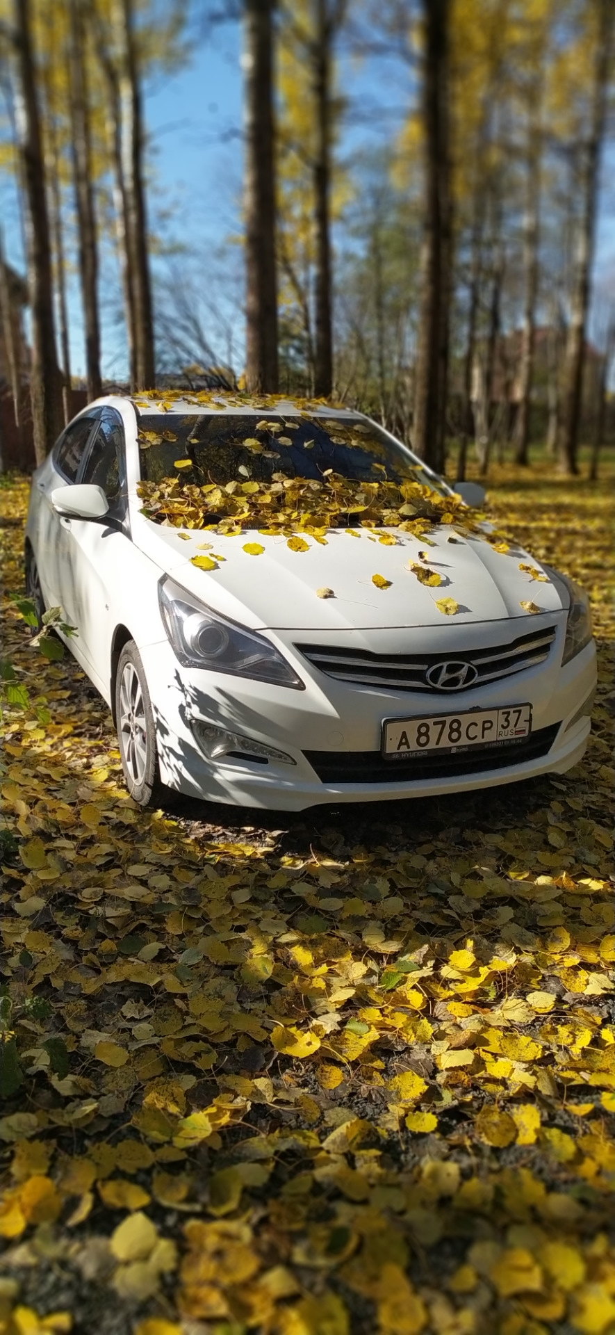 Семь лет владения 🏅 — Hyundai Solaris, 1,6 л, 2015 года | просто так |  DRIVE2