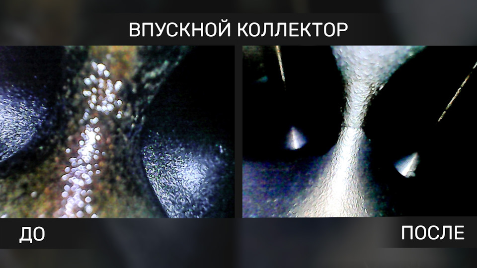 Промывка топливной системы без автосервиса: просто залей в бак! — LAVR ...