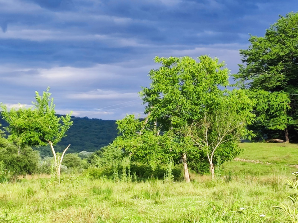 Покатуха 2022 — Great Wall Hover, 2,2 л., 2010 года | покатушки | DRIVE2