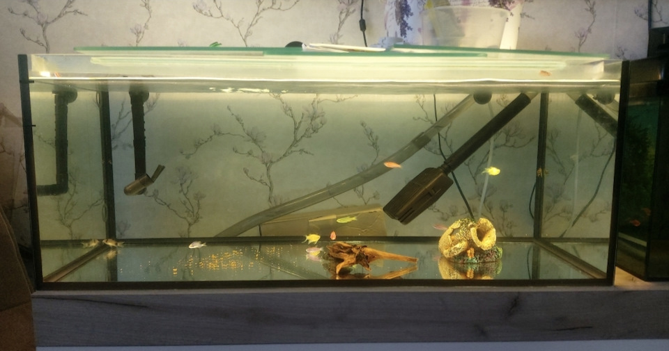 Умный Аквариум ( Часть 1 ) — DRIVE2