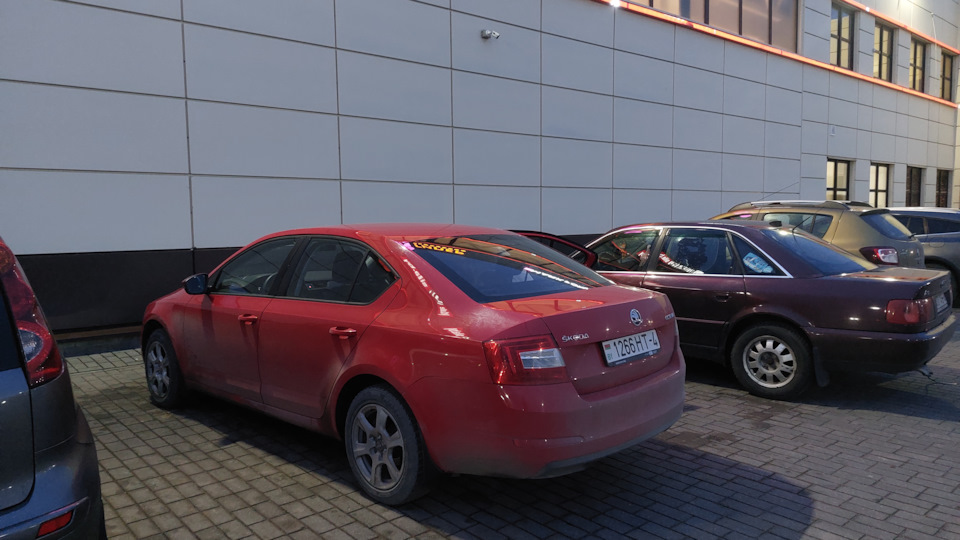 Skoda Octavia cwva