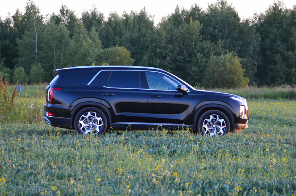 Hyundai Palisade 3.5. Хендай Палисад 2024. Хендай Палисад дорест. Хендай Палисад синий кузов 2021.