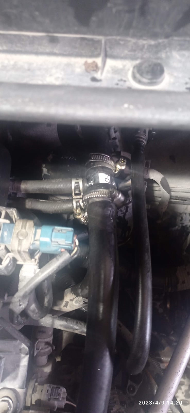 вот — Toyota Funcargo