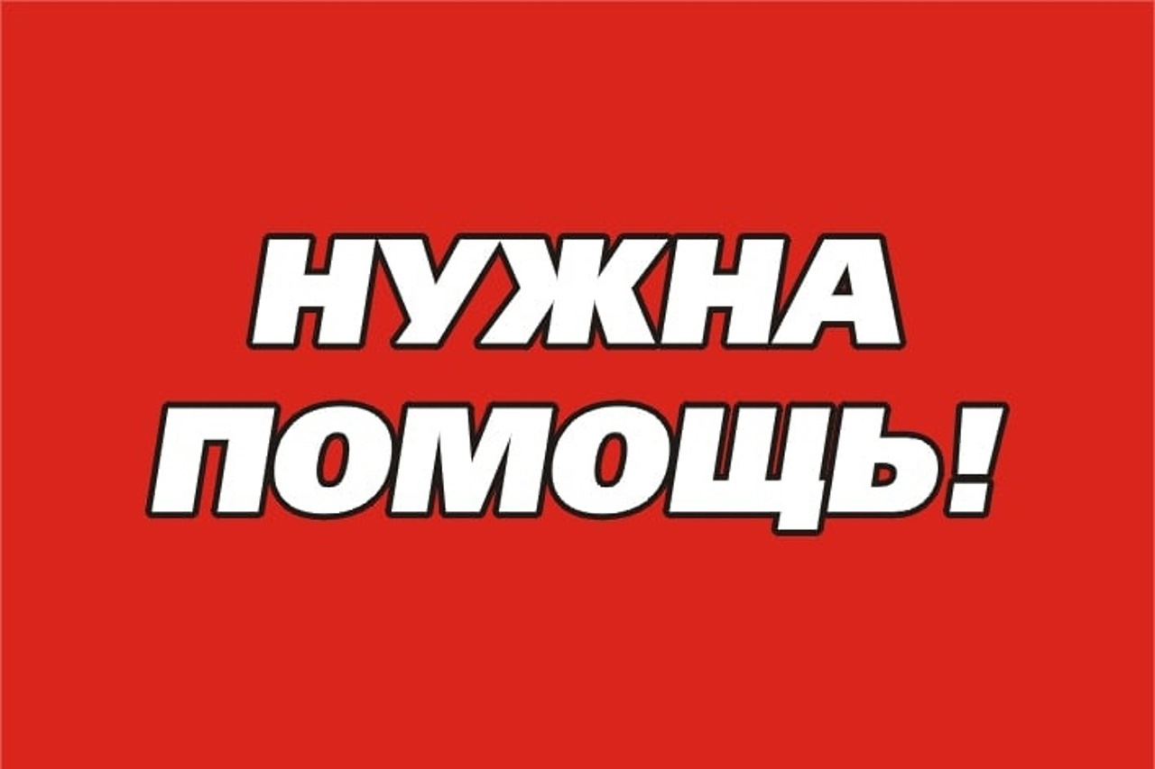 Мне нужна помощь кажется я влип растерянно. Нужна помощь. Нужна помощь картинка. Прошу помощи картинки.