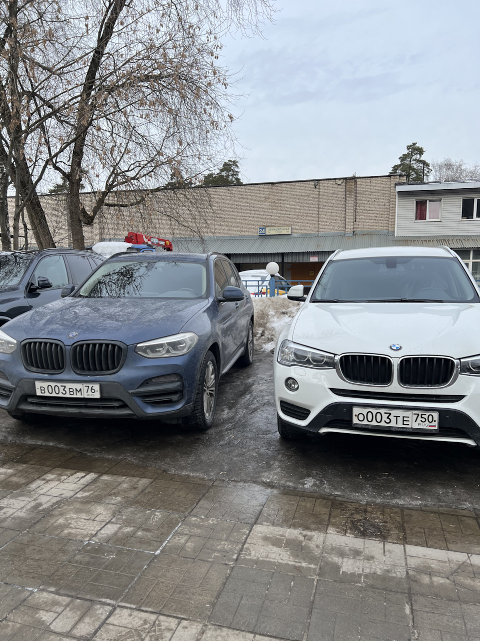 Очередное ТО, жив цел орел) — BMW X3 (G01), 3 л, 2018 года | плановое ТО |  DRIVE2