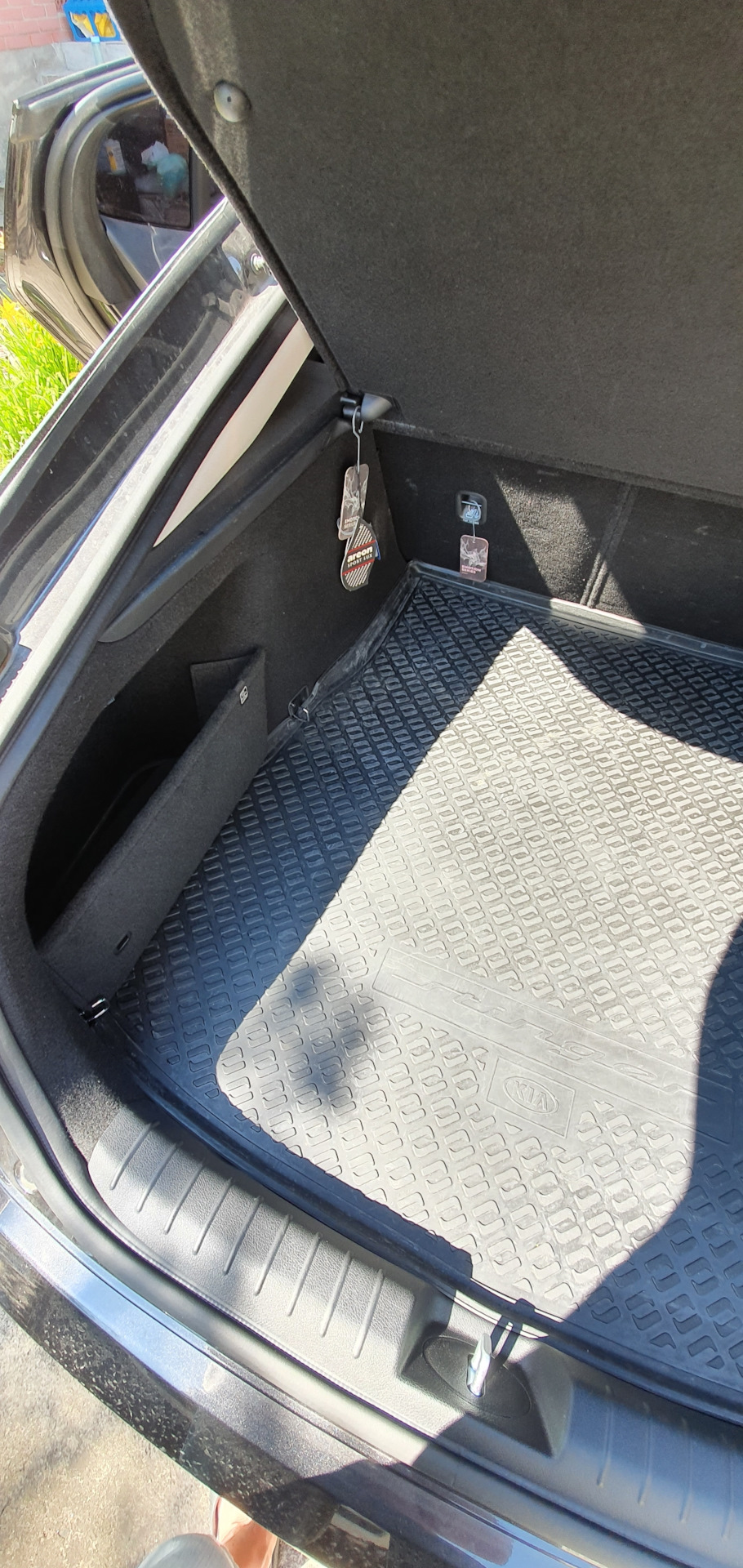 Фото в бортжурнале KIA Stinger