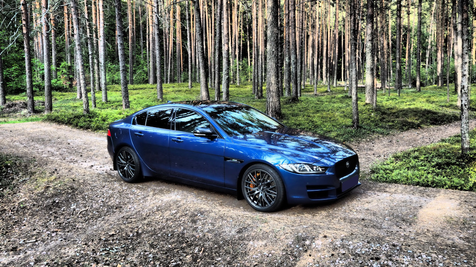 Jaguar XE 🐦 💨 Синяя птица 🐦 💨
