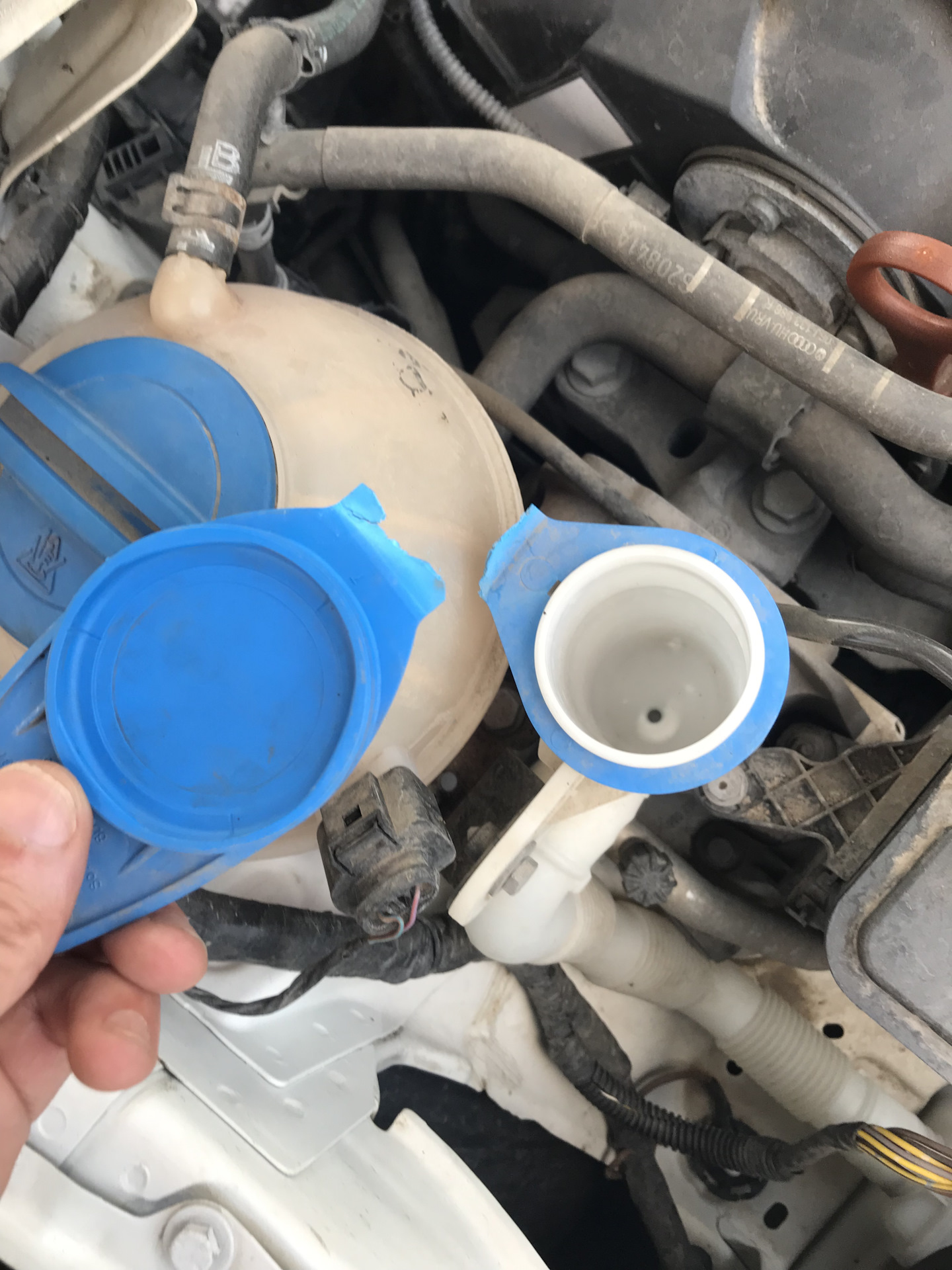 Крышка на бачок омывателя — Skoda Superb Mk2, 1,8 л., 2012 года ...