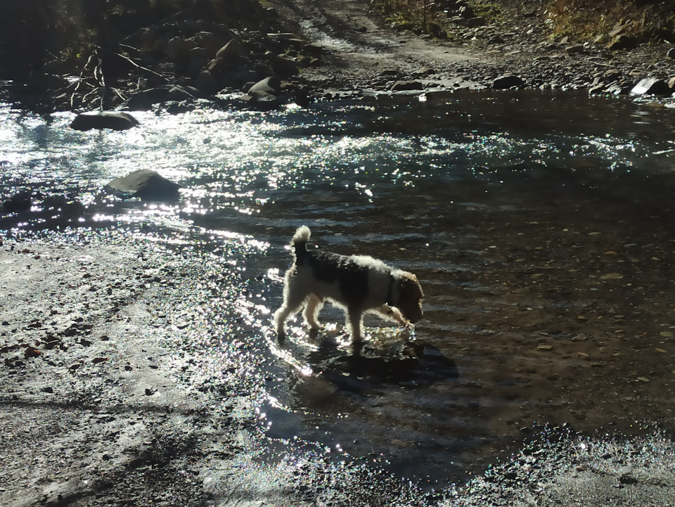 Брод в объезд моста на кош — Mitsubishi Pajero (4G)