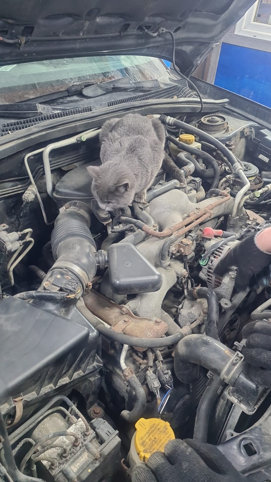 сломалась вилка сцепления — Subaru Forester (SG), 2 л, 2007 года ...