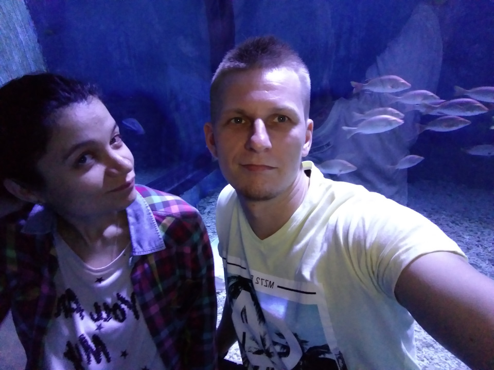 Океанариум в ТРЦ "Рио" на Дмитровке — DRIVE2